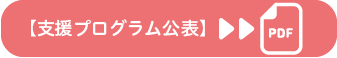 支援プログラム公表